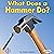 What Does a Hammer Do?