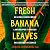 Fresh Banana Leaves: Healing Indigenous Landscapes through Indigenous Science