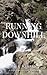 Running Downhill (A Dan Cou...