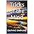 Tricks of the Mind