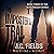 The Imposter's Trail: The Sean Kruger Series, Book 3