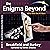 The Enigma Beyond: The Enigma Series, Book 11