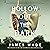 Hollow Out the Dark: A Novel
