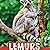 Lemurs: Animals