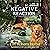 Negative Reaction: Callie Cassidy Mysteries, Book 5