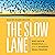 The Slow Lane: Why Quick Fixes Fail and How to Achieve Real Change