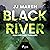 Black River: Run and Hide 2