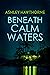 Beneath Calm Waters (Widow'...