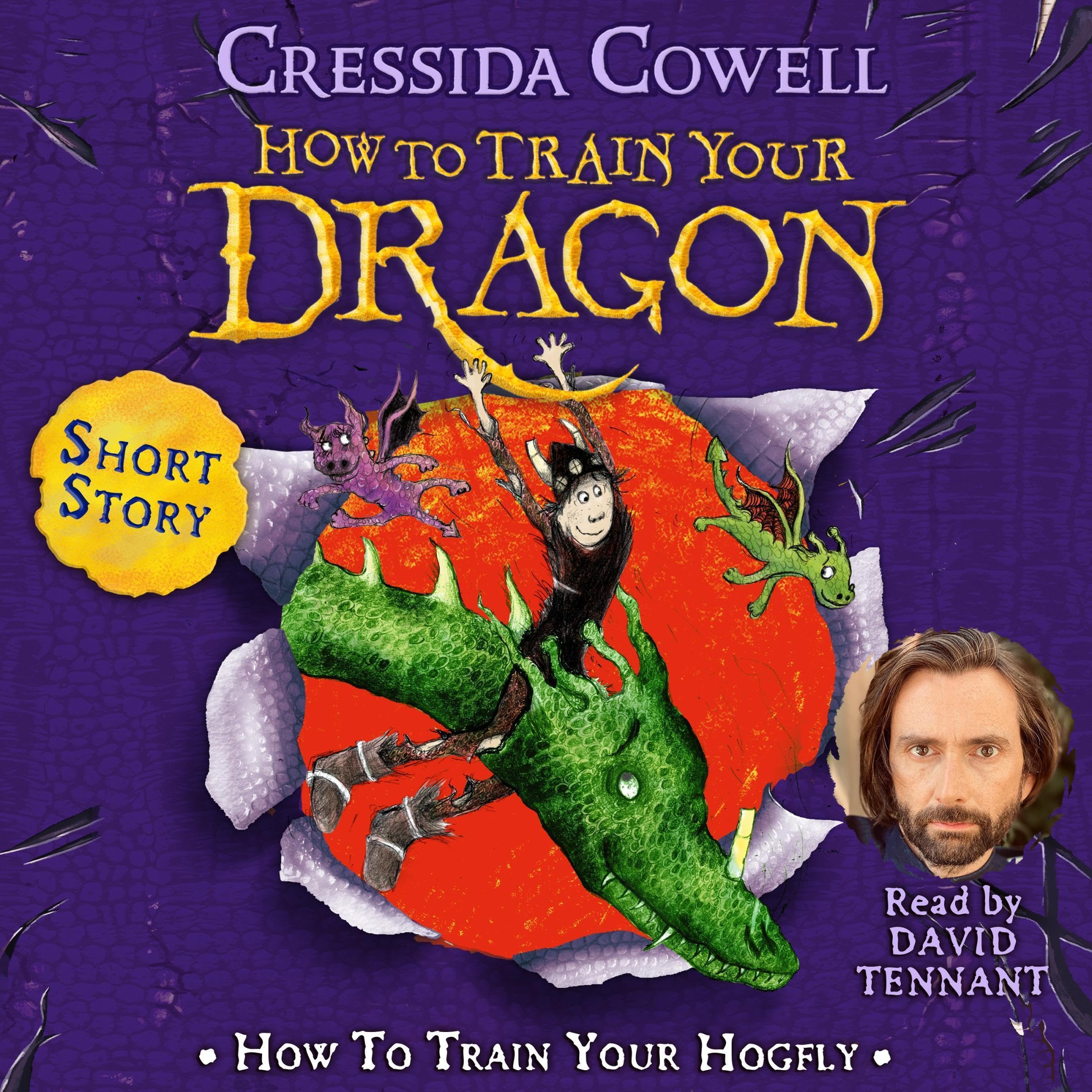 How to Train Your Hogfly: How to Train Your Dragon (Audible Audio)