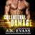 Collateral Damage: Archer Tactical, Book 2