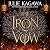 The Iron Vow: The Iron Fey: Evenfall, Book 3