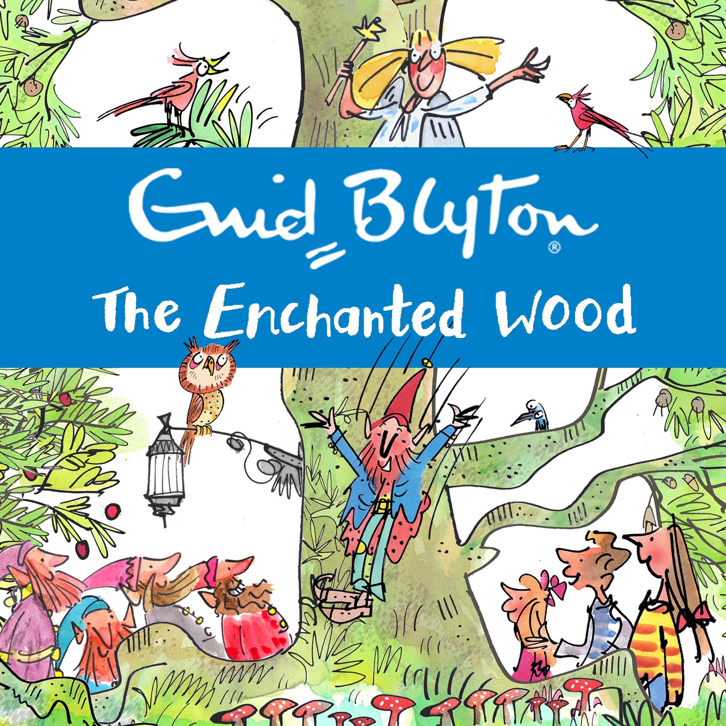 The Enchanted Wood: Discover the beloved series that inspired the family film The Magic Faraway Tree - in cinemas now!