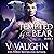 Tempted by the Bear: BBW Werebear Shifter Romance, Book 1