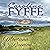 Montana Reunion by Caroline Fyffe