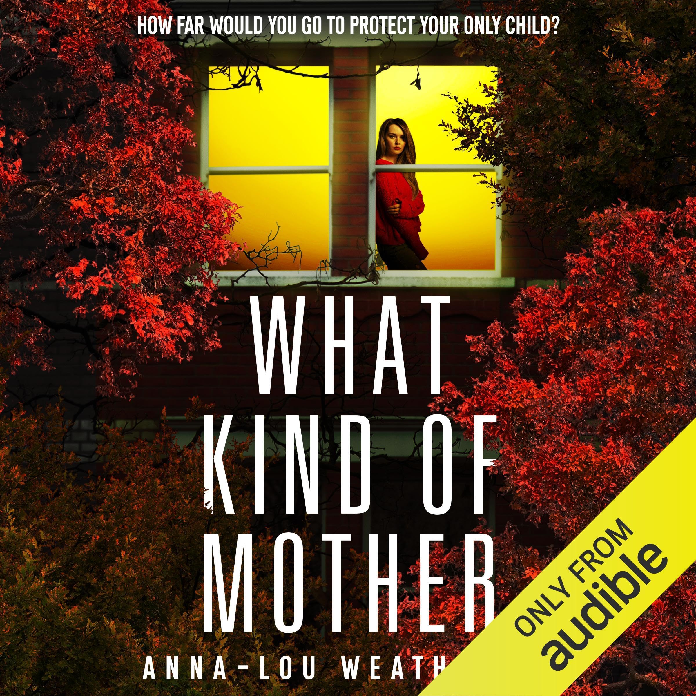 What Kind of Mother: Detective Dan Riley, Book 8 (Audible Audio)