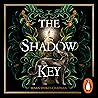 The Shadow Key by Susan Stokes-Chapman