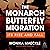 The Monarch Butterfly Migration: Its Rise and Fall