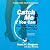 Catch Me If You Can: The True Story of a Real Fake