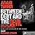 Between Debt and the Devil: Money, Credit, and Fixing Global Finance