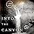 Into the Canyon: A River Novel
