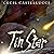Tin Star