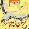 Golden Crested Crane