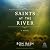 Saints at the River: A Novel