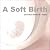 A Soft Birth by Christian Dittrich-Opitz