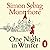 One Night in Winter