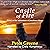 Castle of Fire: Book 2 of T...