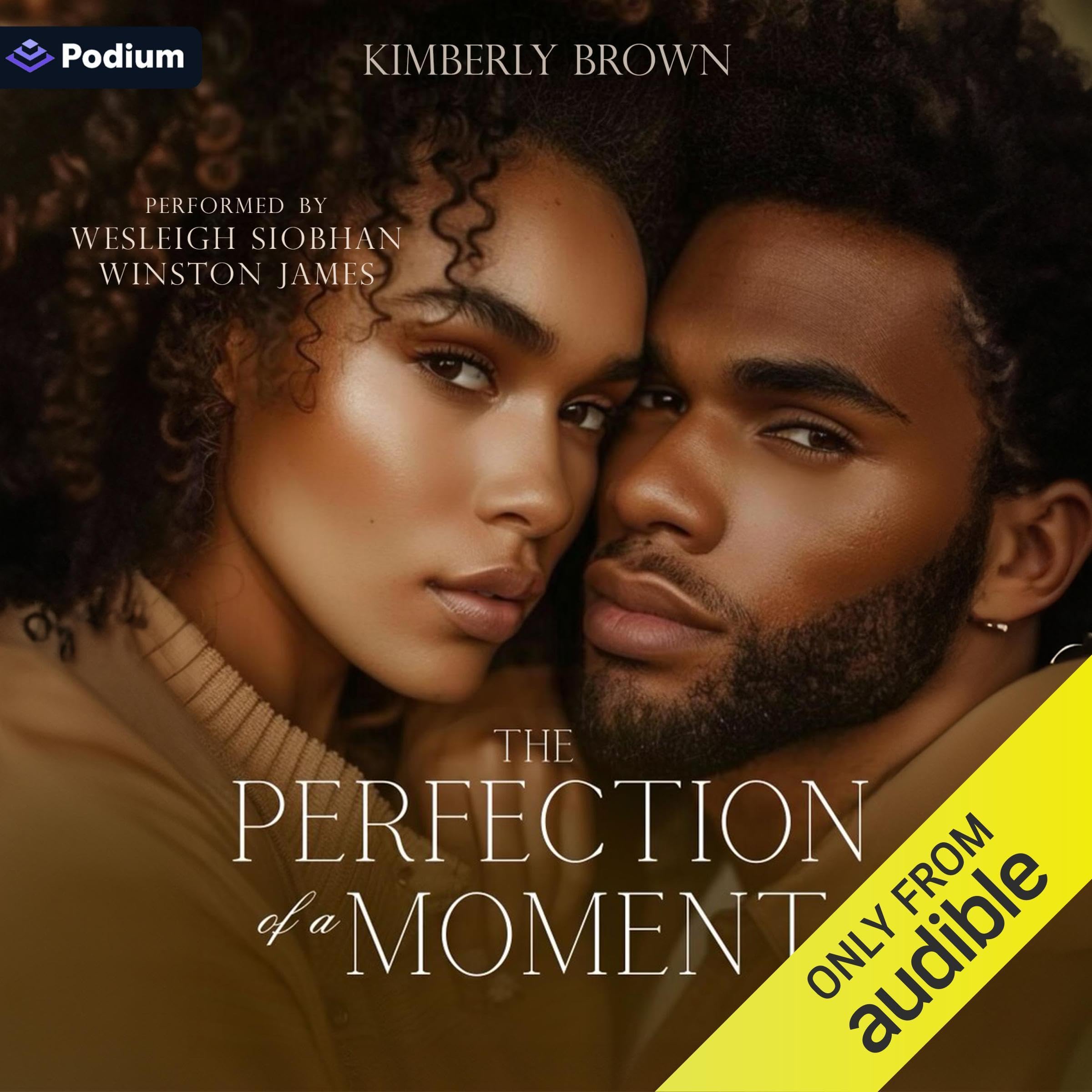The Perfection of a Moment (Audible Audio)