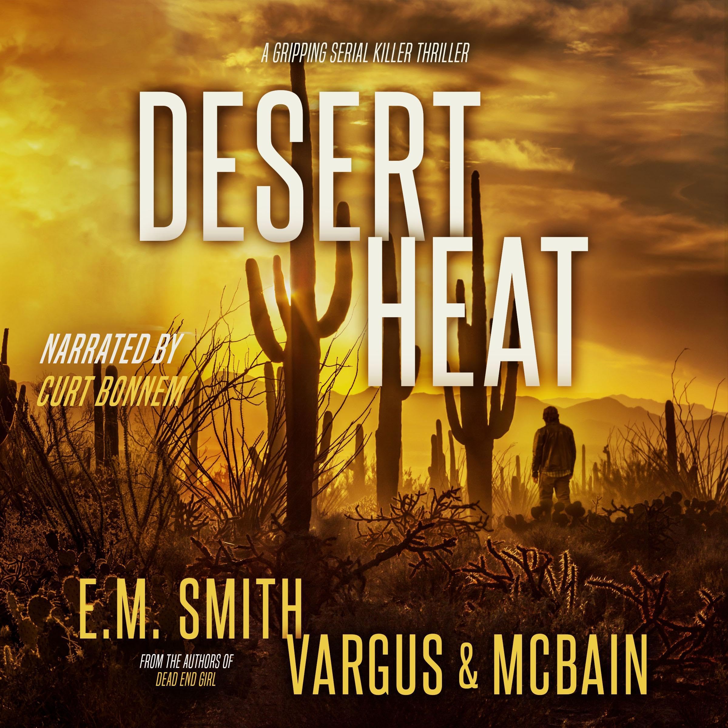 Desert Heat: Victor Loshak, Book 4 (Audible Audio)
