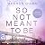 So Not Meant To Be (Cane Brothers #2)