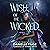 Wish of the Wicked: A Fairy...