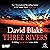 Three Rivers: British Detective Tanner Murder Mystery Series, Book 4
