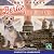 Bertie the Blitz Dog by Libby Parker