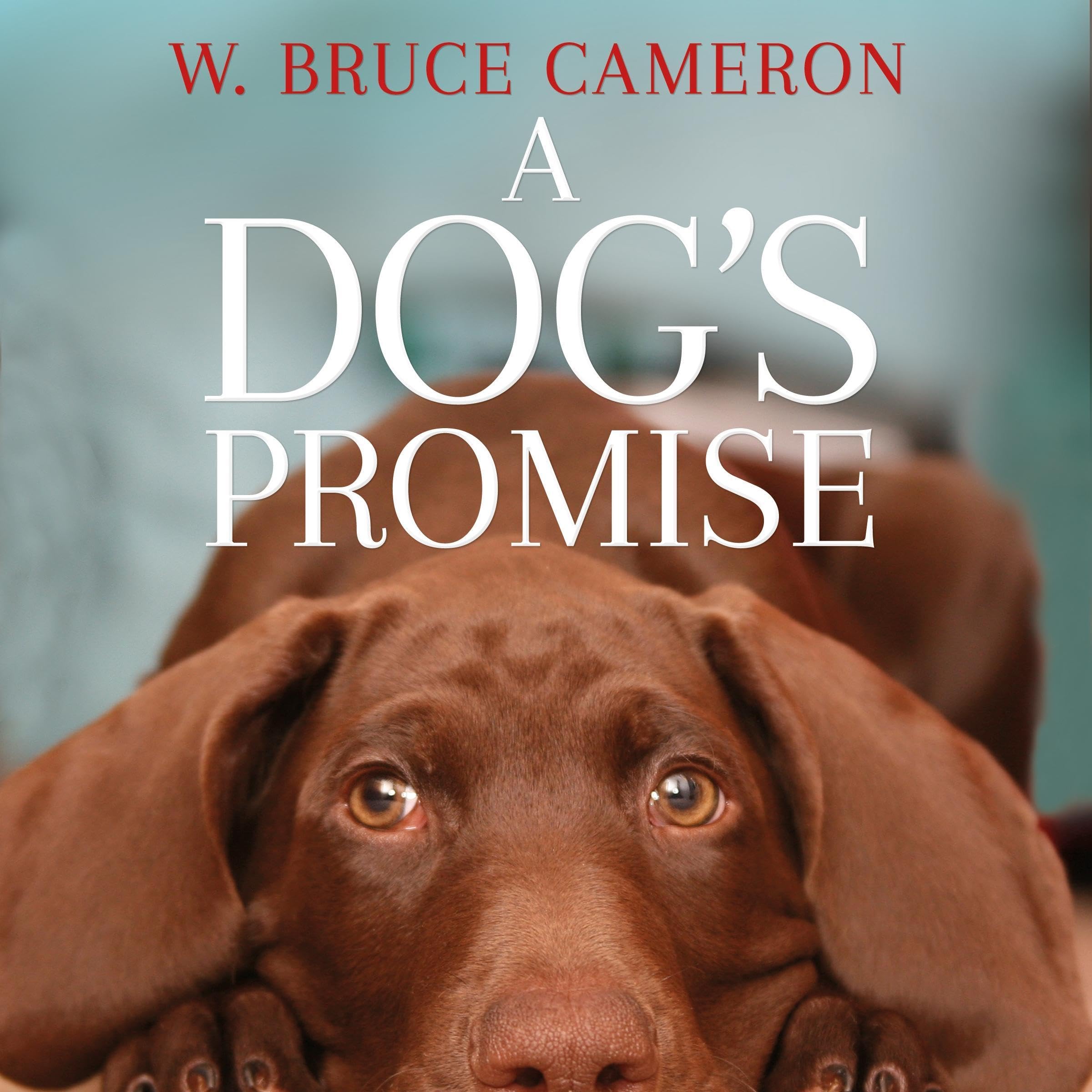 A Dog's Promise: A Dog's Purpose Book 3
