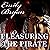 Pleasuring the Pirate by Emily Bryan