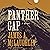 Panther Gap: A Novel