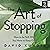 The Art of Stopping by David Kundtz