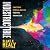 Indestructible by Blake K. Healy