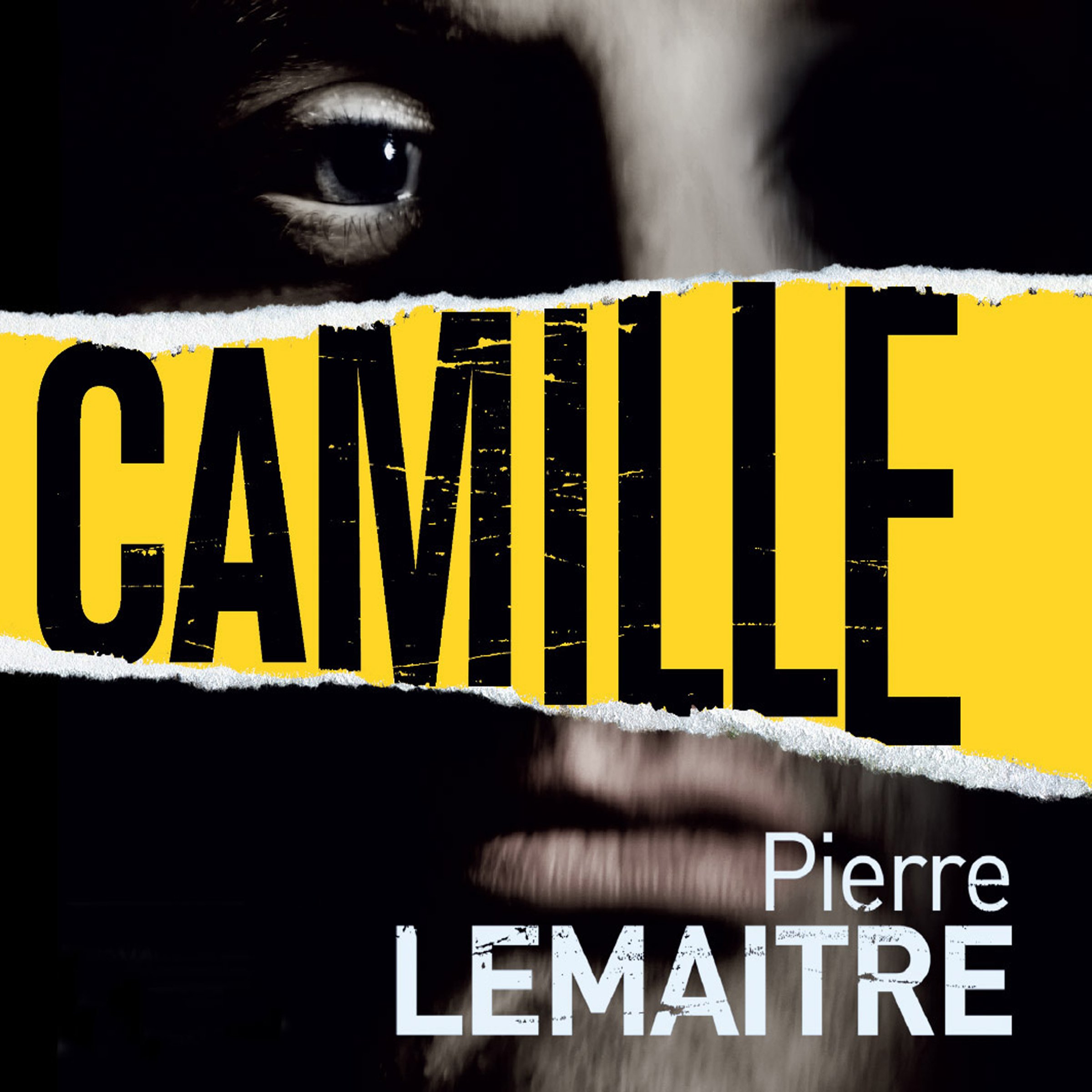 Camille: The Commandant Camille Verhoeven Trilogy