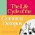 The Life Cycle of the Common Octopus: 'An unputdownable novel about female friendship and the events that shape us' COSMOPOLITAN