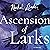 Ascension of Larks