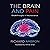 The Brain and Pain: Breakth...