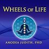 Wheels of Life: A...