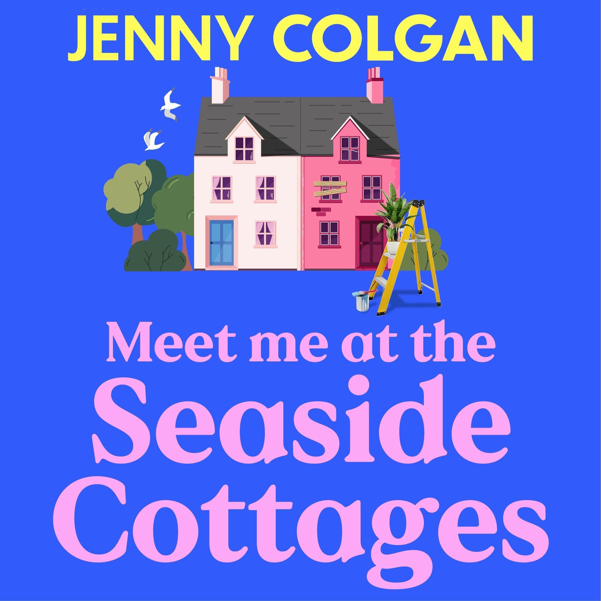 Meet Me at the Seaside Cottages (Audible Audio)