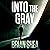 Into the Gray: Boston Crime...