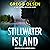 Stillwater Island: Detective Megan Carpenter, Book 4
