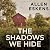 The Shadows We Hide